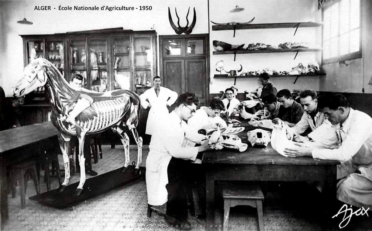 Alger - Ecole Nationale d'Agriculture - 1950.jpg